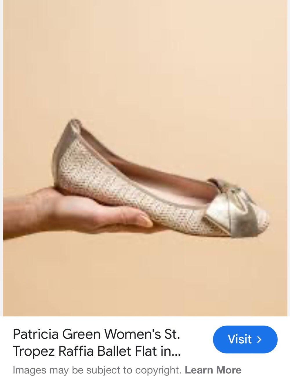Patricia Green Raffia Ballet Flat in Metallic Gold and Natural